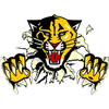 Small_1535391204-wildcat_tear