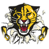 Small_1497891051-haven_tiger